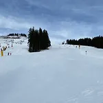 In Der Au Lejlighed