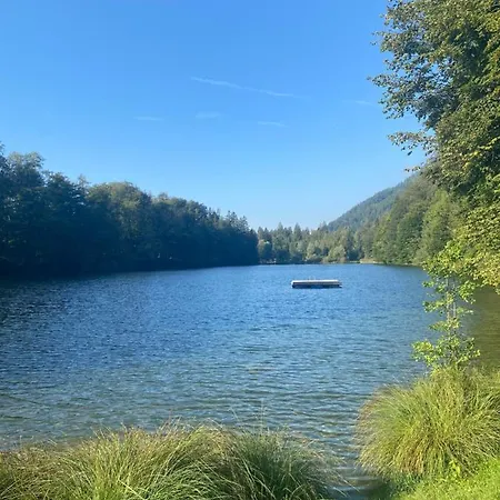 In Der Au *