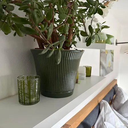 Appartement In Der Au *