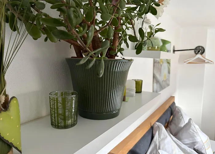 Appartement In Der Au *